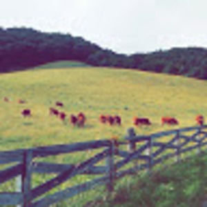 Meet your Posher, Bre